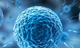 染色体易位在阜新市第二人民医院可以做三代试管吗？染色体平衡易位还能生健康的宝宝吗？