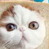 青岛平度市哪个医院做试管婴儿，青岛平度市哪个医院做试管婴儿好