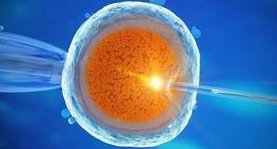 吴川市生孩子做染色体检查有必要吗，筛查一次大概需要多少钱？